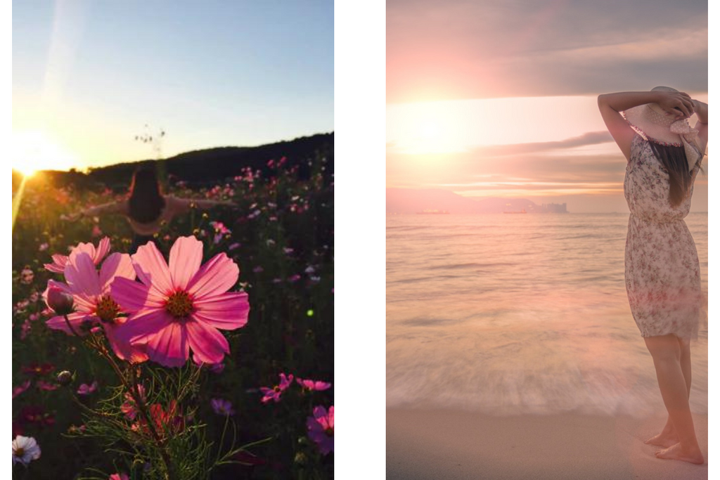 dappled light through flowers and on beach