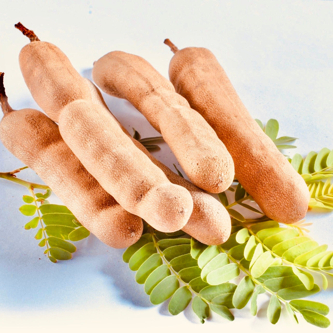 1 Kg Tamarind Fruit Extract Without Seeds Vintage Farmers