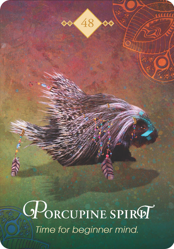 Oracle Cards The Spirit Animal Oracle By Colette Baron Reid Qi