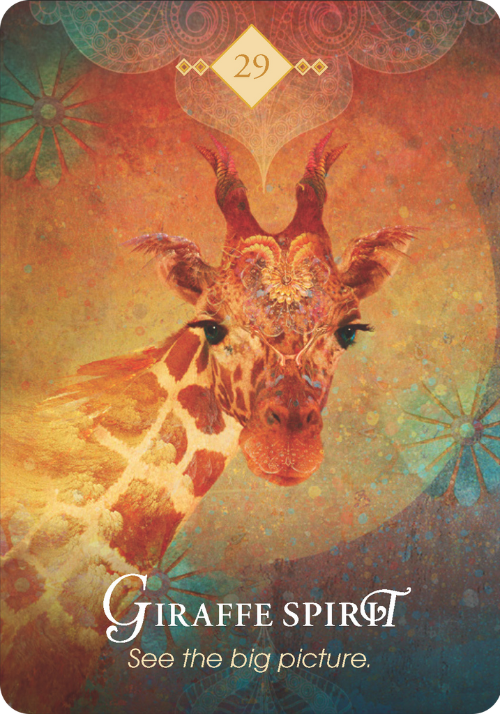 Oracle Cards The Spirit Animal Oracle By Colette Baron Reid Qi