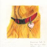 Pet Portrait Diploma