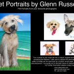 Pet Portrait Diploma