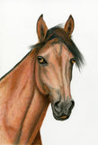 Red Brush Art Pet Portrait Horse Drawing