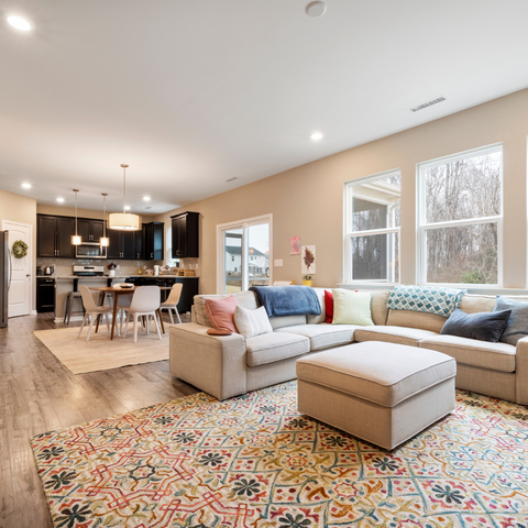 well lit country style home with a white couch and ornate area rug