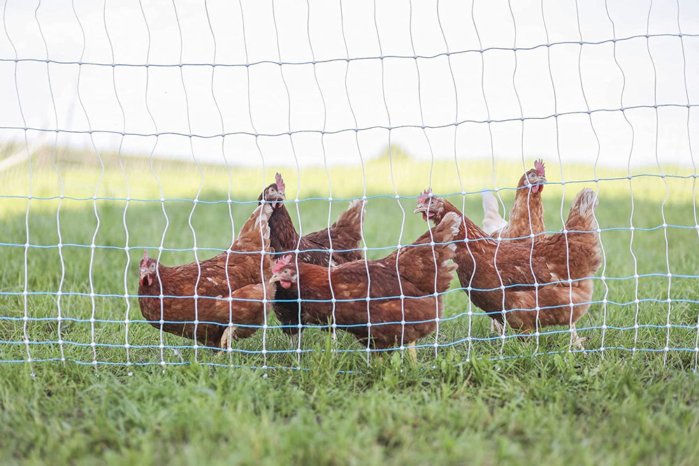 Poultry Freedom: Starkline Fence –