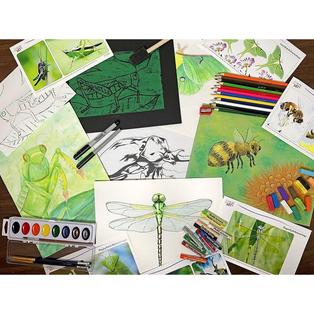 Homeschool Art Kit - Insects Art Box for Kids