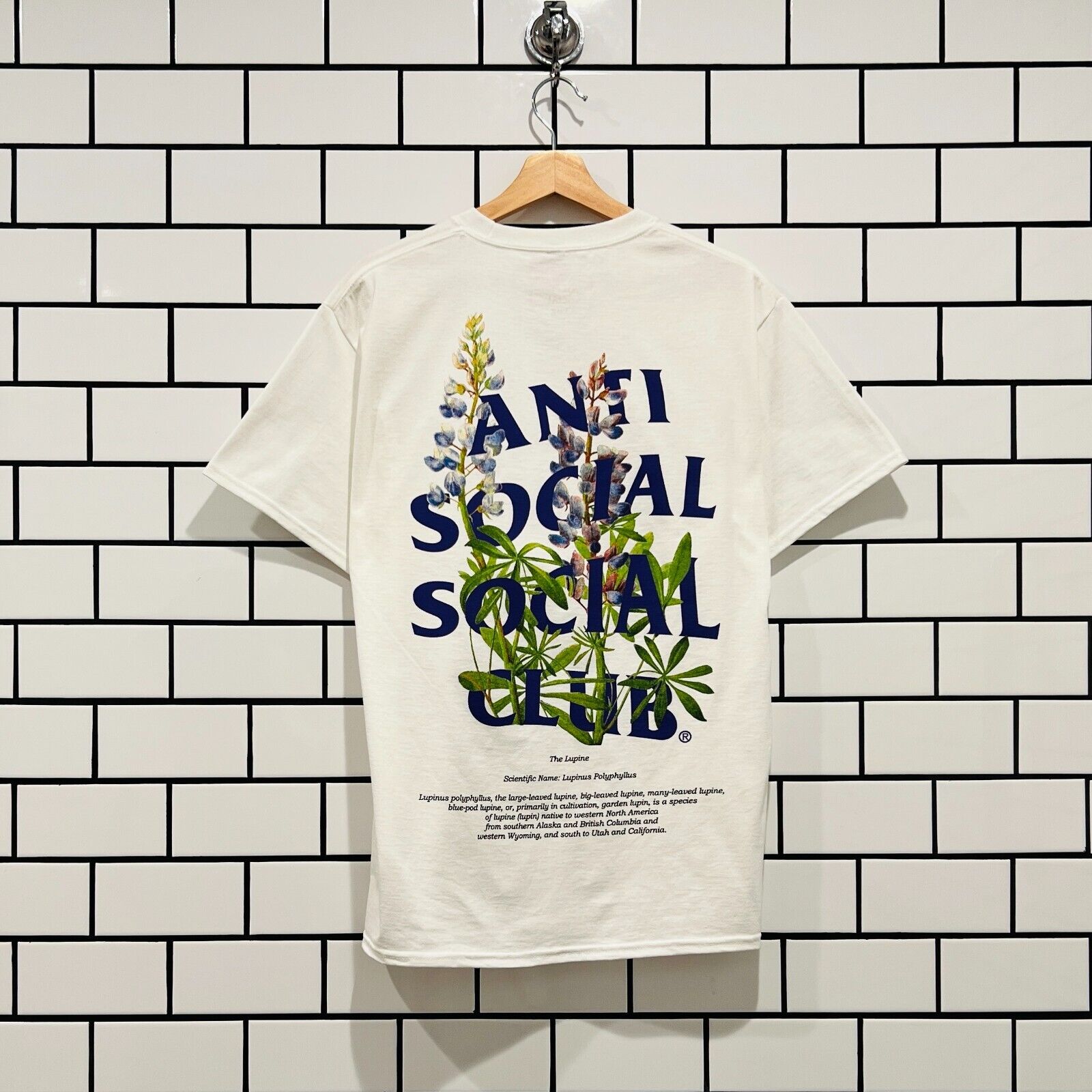 ANTI SOCIAL SOCIAL CLUB ASSC X MOONEYES FLATS PHOTO TEE