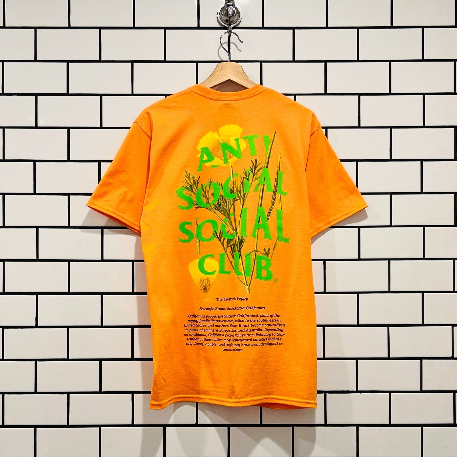 ANTI SOCIAL SOCIAL CLUB ASSC POPPY TEE ORANGE | archive