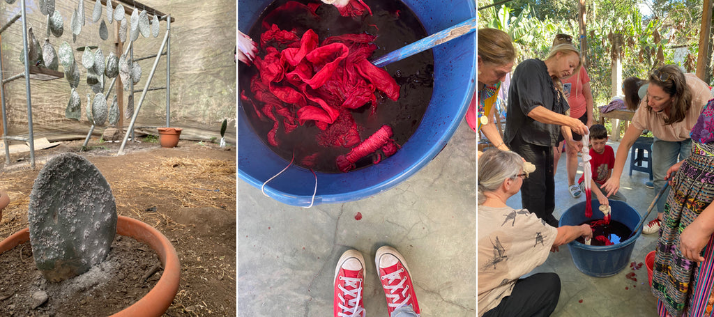 cochineal dyeing with dona francesca in san juan la laguna lake atitlan guatemala