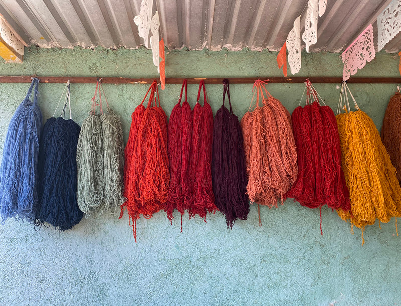 natural dyeing in oaxaca - vida nueva collective
