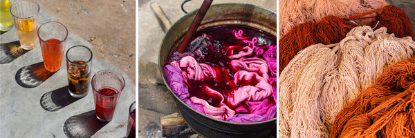 the colors natural dyeing in oaxaca