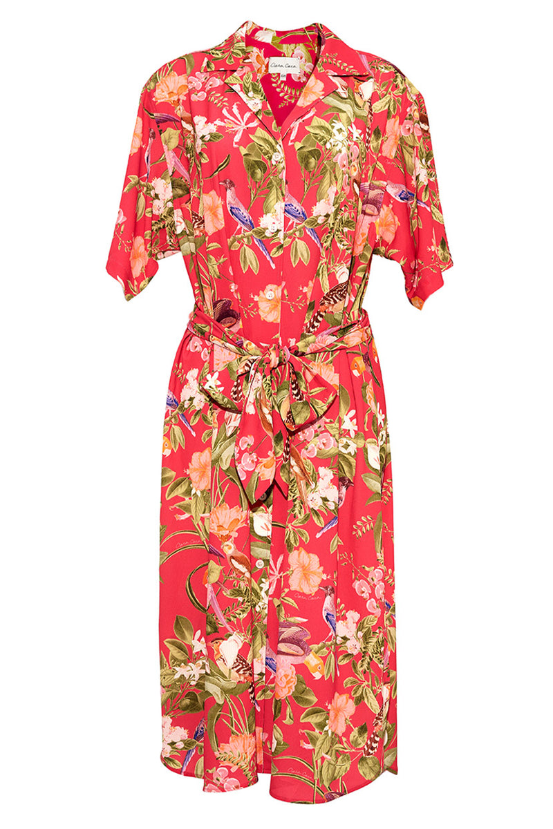 Hobbs Dress Tropical Birds Raspberry – Cara Cara