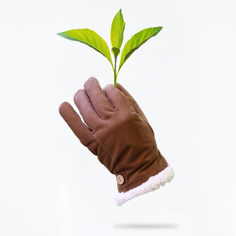 Glove Holding Plant