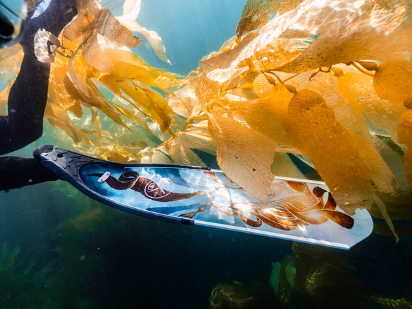 Kelp art collaboration for conservation