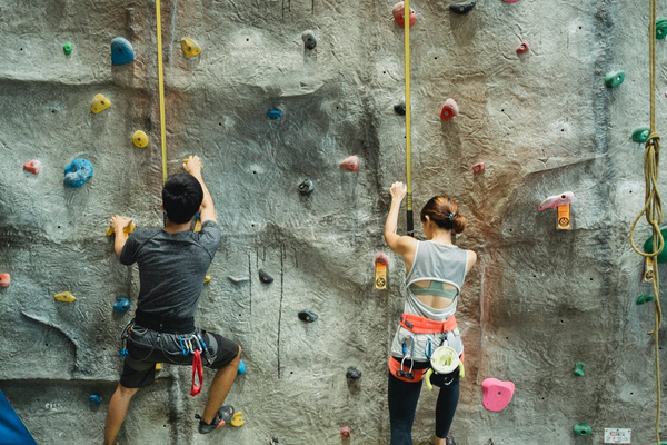  Two people in harnesses rock climbing