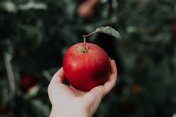 apples are a dopamine boosting fruit 