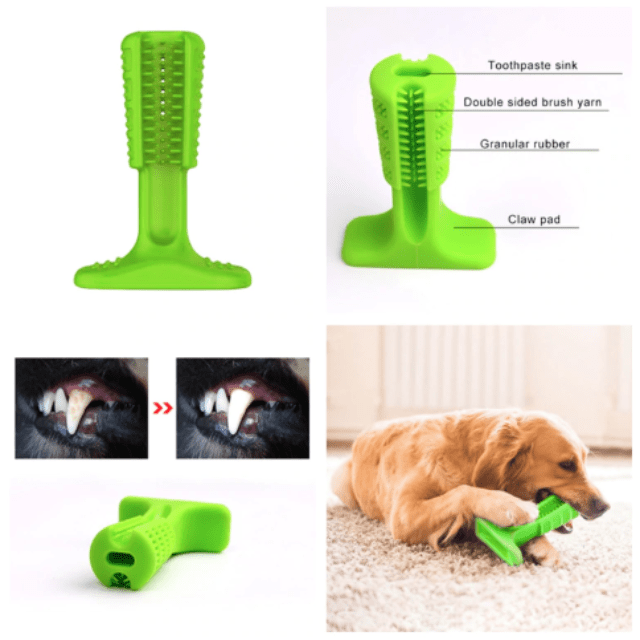 brushee dog toothbrush