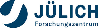 FJ Juelich Logo | REBEL FIN CO.