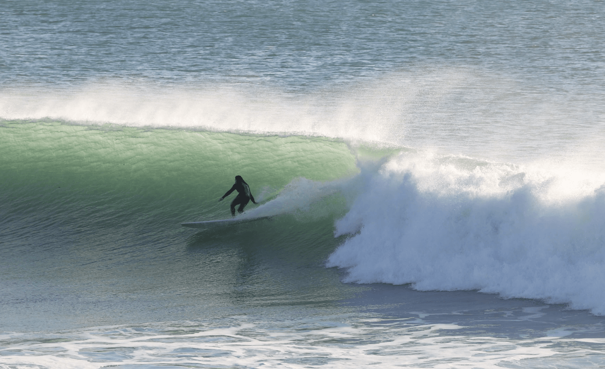 Paco & Isis | REBEL SURF CO.