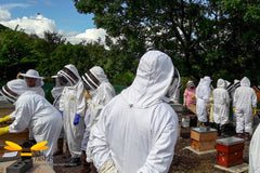 Beekeepers in an Apiary