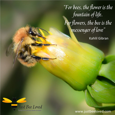 Bees Messenger of Love Quote by Kahlil Gibran