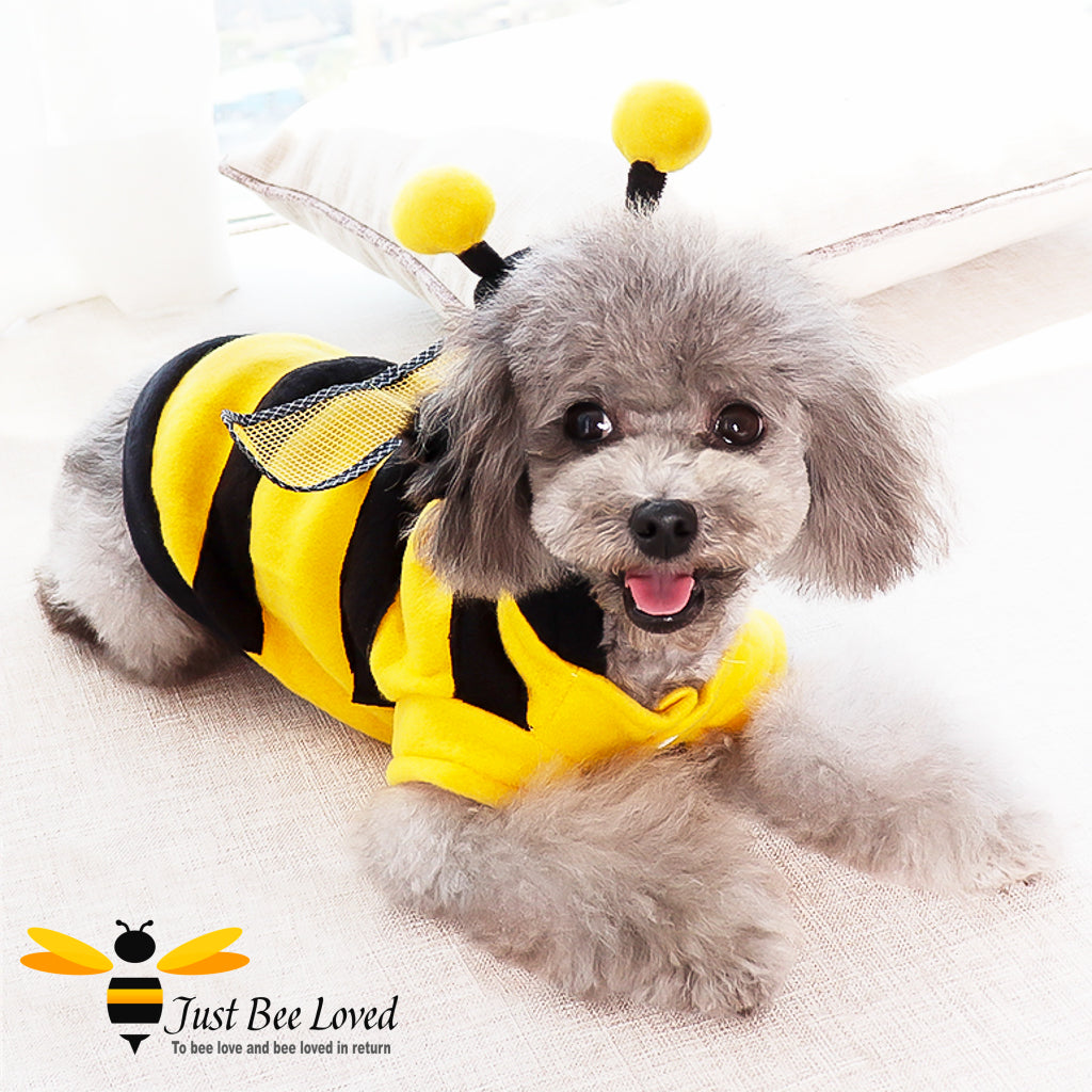 Bumblebee Dog Hoodie Fleece Costume Coat – Just Bee Loved