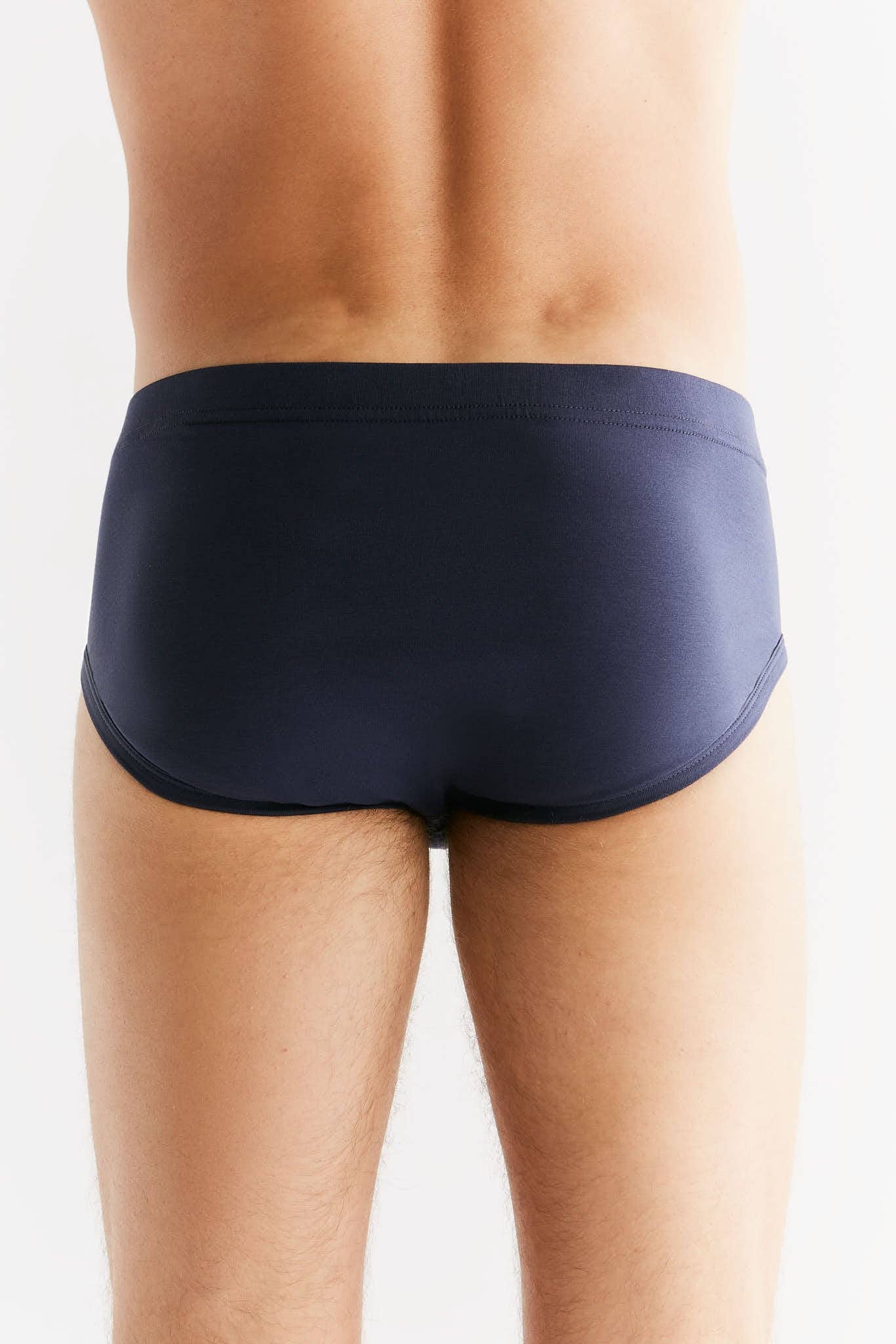 Organic Cotton Briefs: Mens