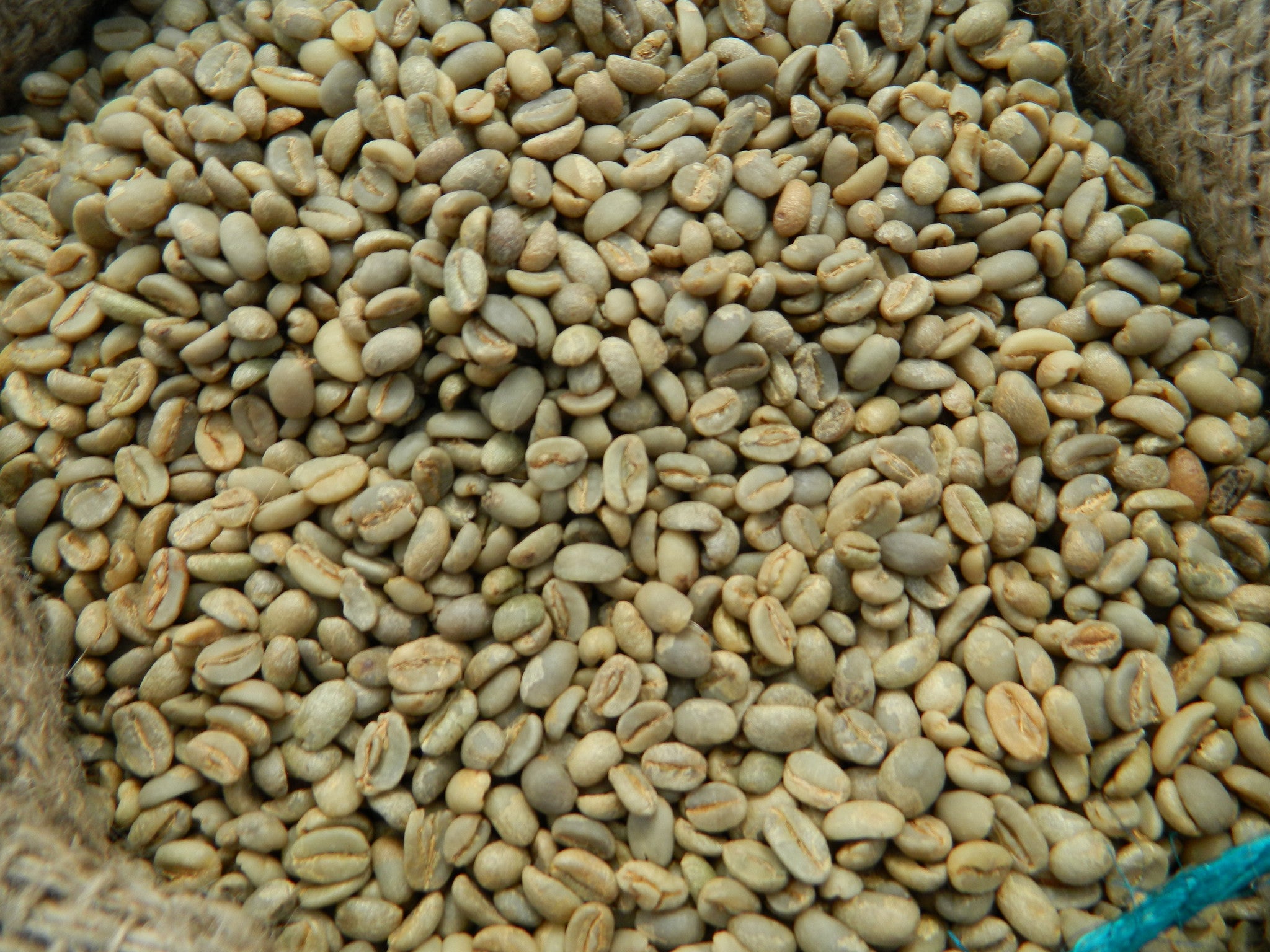 Зерна мокко. Эфиопия Харрар зелёный кофе. Сорта кофе Эфиопия. Кофе Эфиопия мокко Харар. Арабика Эфиопия.