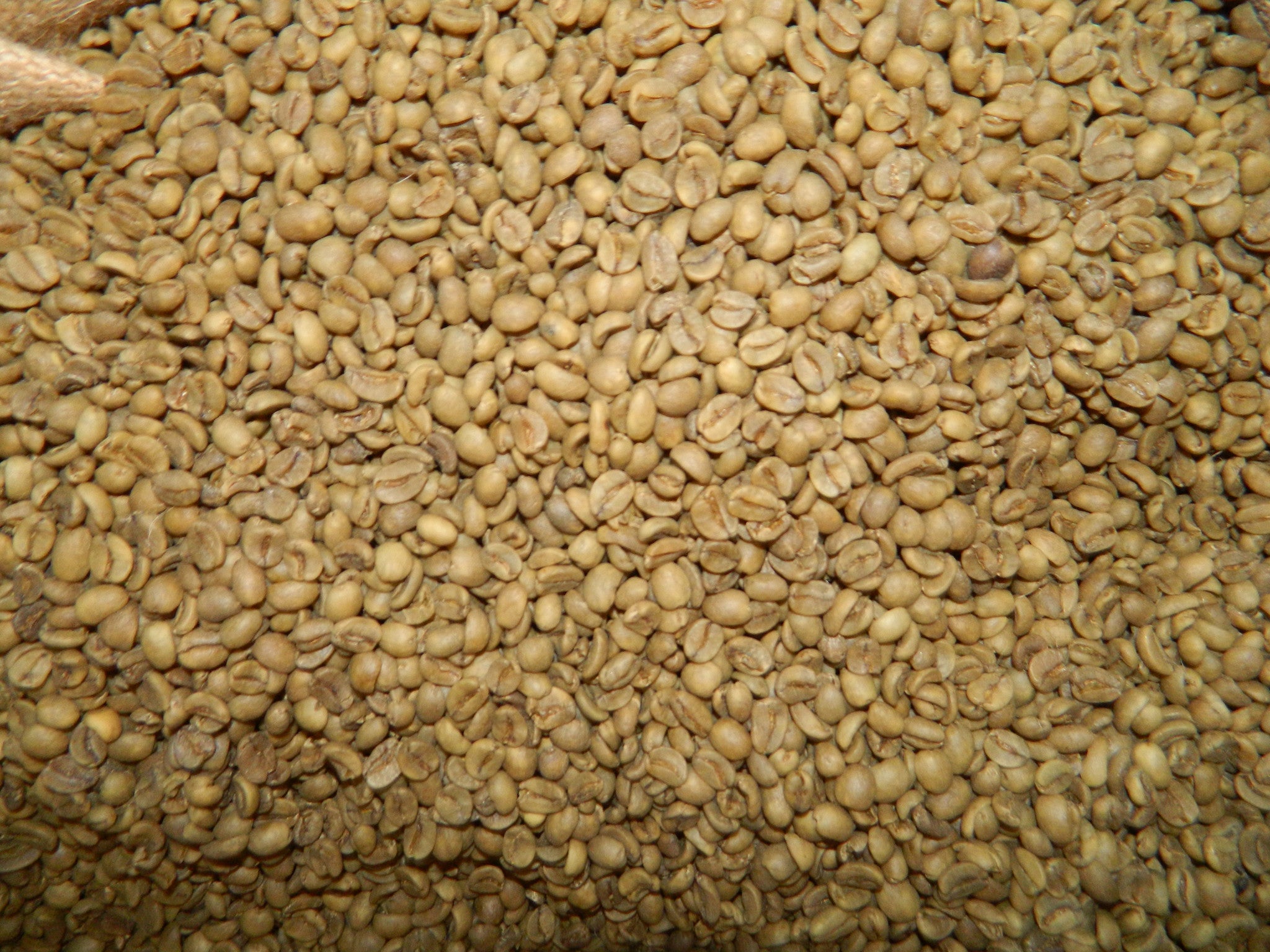 mexican coffee beans