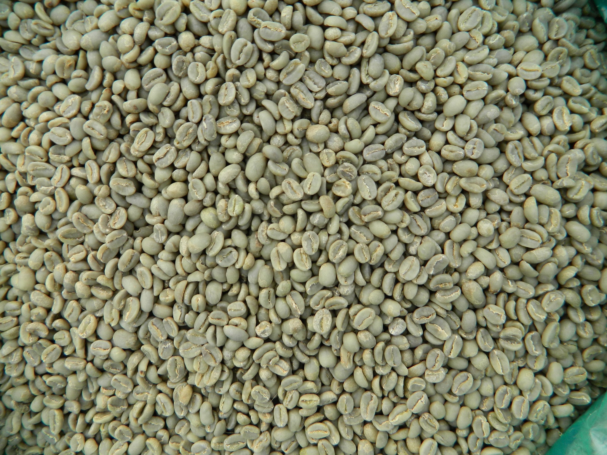 ethiopian coffee beans