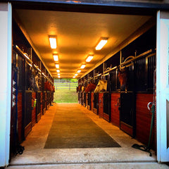 Brass Ring Farm NJ horse stable