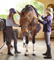 Jenny Wetterau dressage rider with her horse Hertog