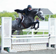 Amber Harte hunter rider from Brass Ring Farm NJ