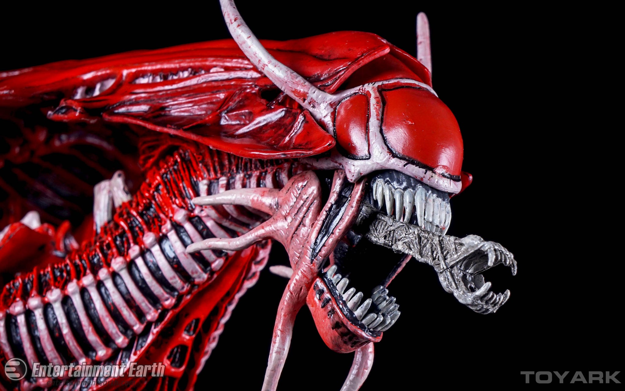 red queen alien