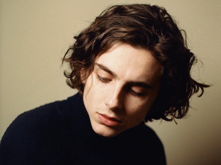 Timothée Chalamet: actor of a generation – The Movievaures