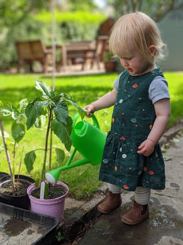 Watering the sunflowers