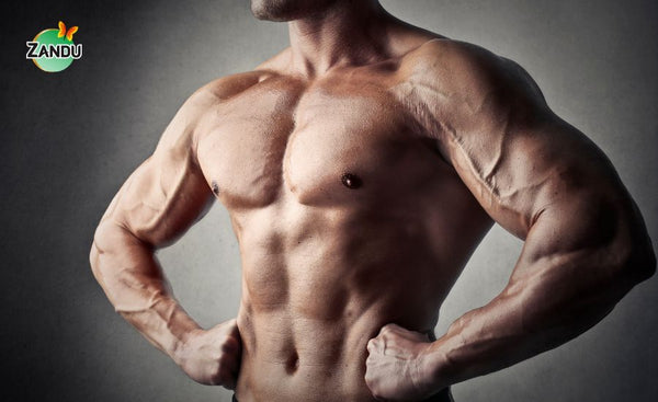 Muscle building and repair