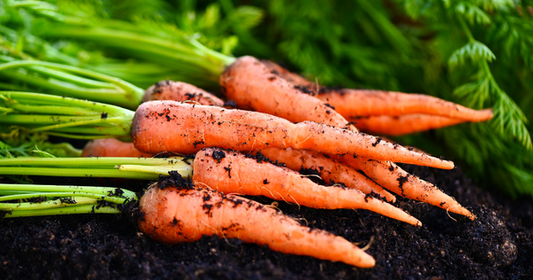 Raw Carrots