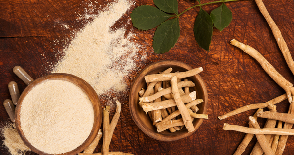 Ashwagandha powder and stick