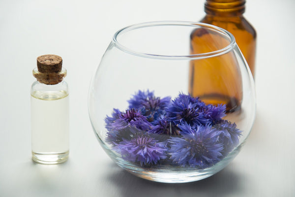 herbs kept in the jar