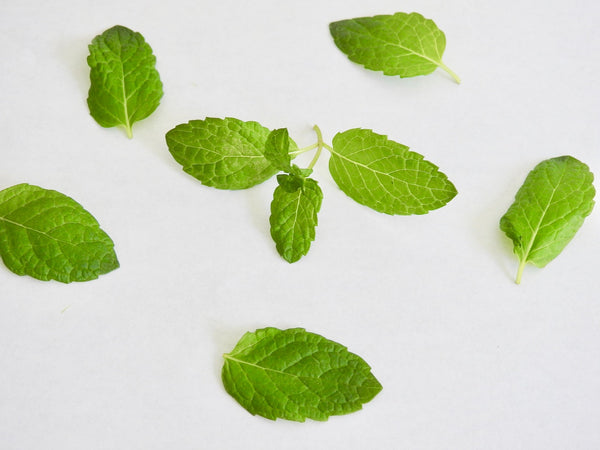 mint leaves for acne treatment