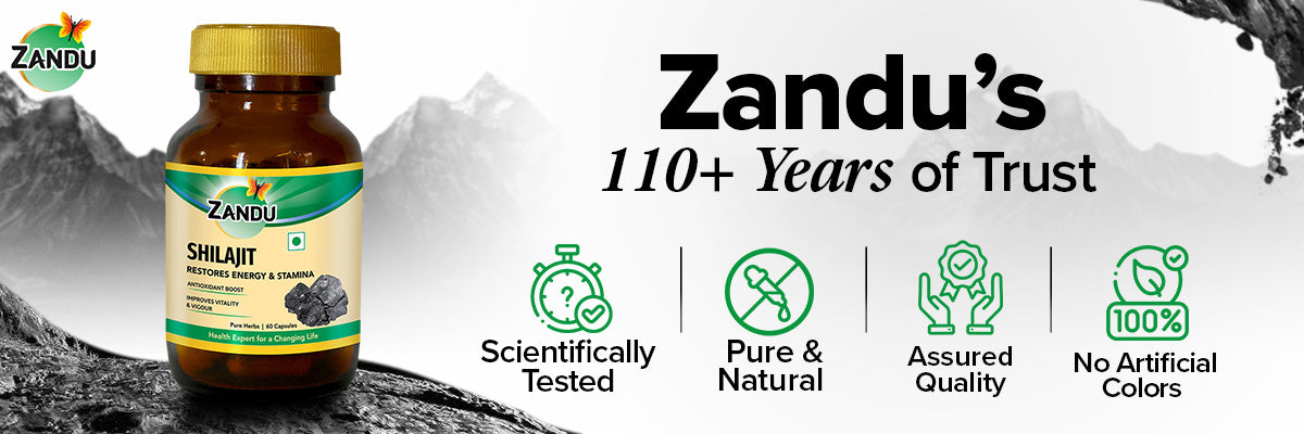 Zandu shilajit trust points