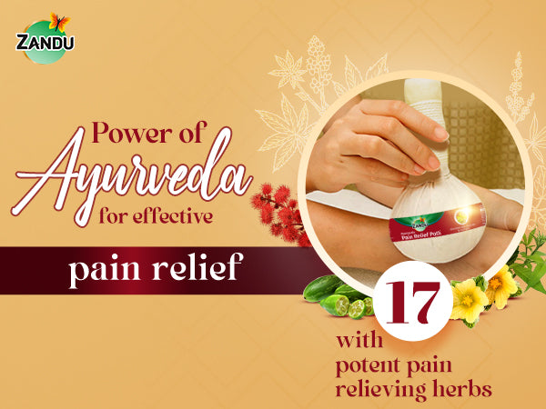 Zandu Ayurvedic Pain Relief Potli