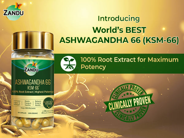 Zandu Ashwagandha 66 ( KSM-66®) Capsules