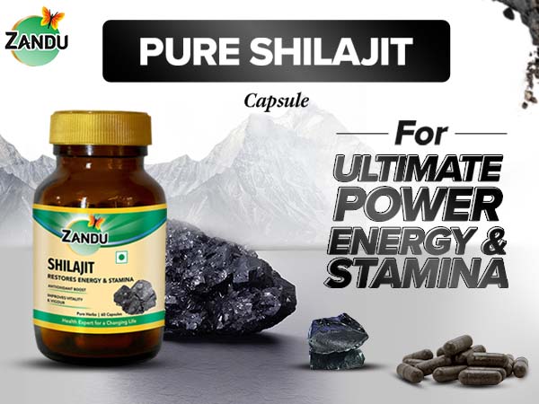 Zandu Shilajit for Strength