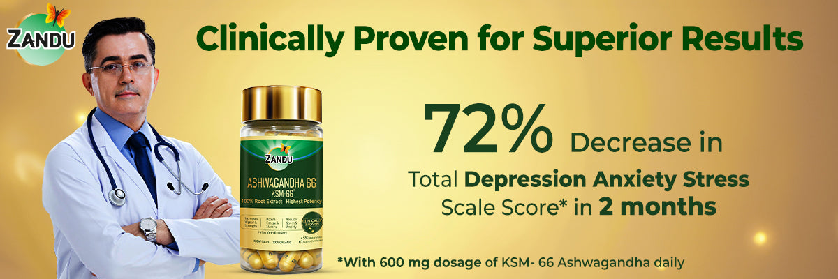 Zandu Ashwagandha 66 ( KSM-66®) Capsules for Stress