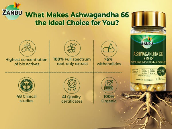 Zandu Ashwagandha 66 ( KSM-66®) Capsule benefits