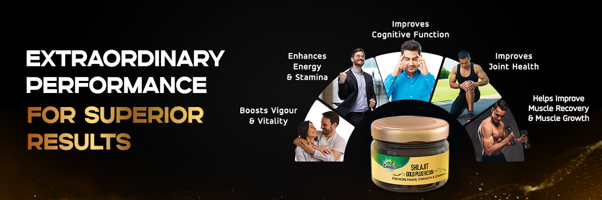 Pure Shilajit Gold Resin for Extraordinary Performance 