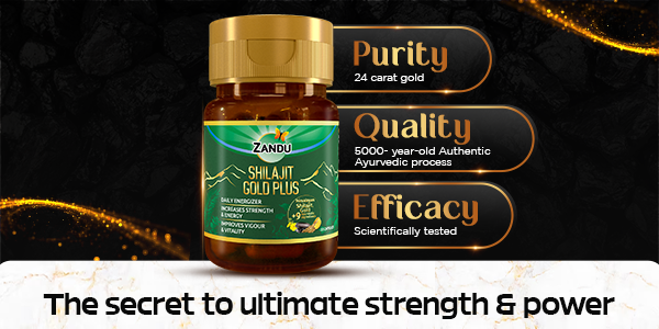 Shilajit Gold capsules by Zandu