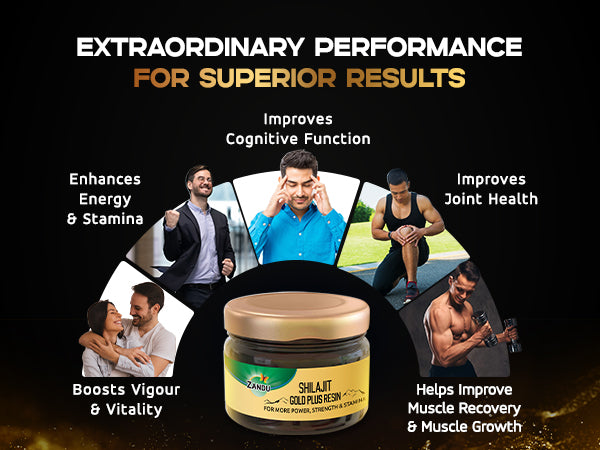 Pure Shilajit Gold Resin for Extraordinary Performance 